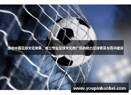 推动中国足球文化发展，成立专业足球文化推广机构助力足球普及与青训建设