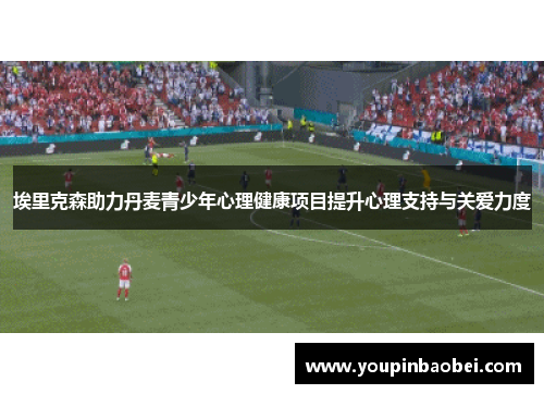 埃里克森助力丹麦青少年心理健康项目提升心理支持与关爱力度