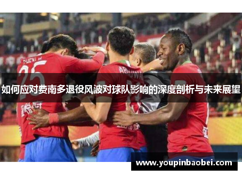 如何应对费南多退役风波对球队影响的深度剖析与未来展望