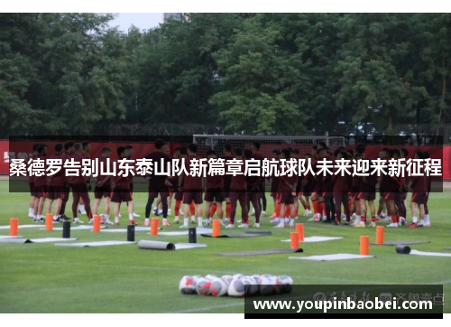 桑德罗告别山东泰山队新篇章启航球队未来迎来新征程